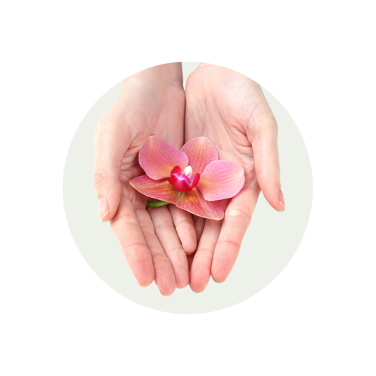 a pair of hands holding a flower