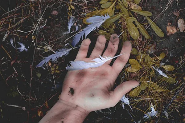 Falling feathers in hand