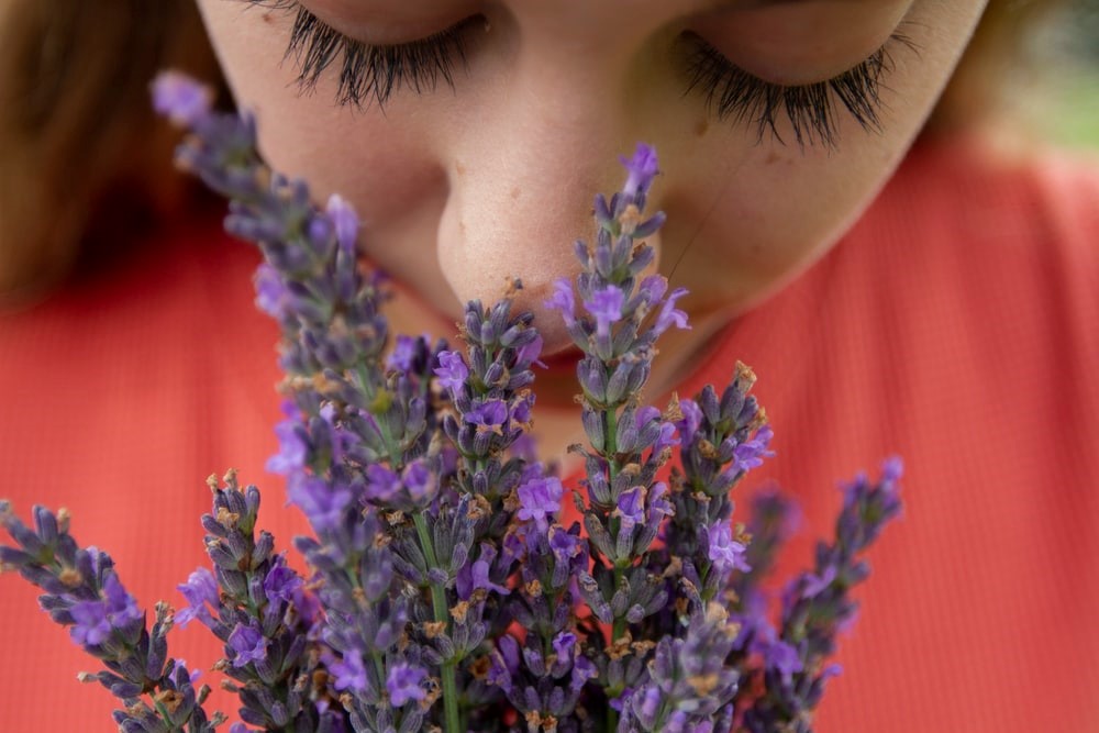 Women Smelling lavender