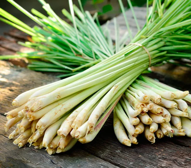 Lemongrass has been traditionally used in Thai cooking, but has been more recently discovered that the essential oils found in this fragrant herb can be used in cosmetics and beauty products.