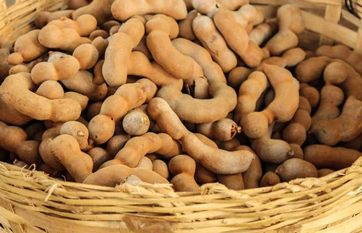 Tamarind seed extract contains high levels of AHA which is of great benefit in skin care. Studies have shown that tamarind seed extract significantly improves skin elasticity, hydration and smoothness